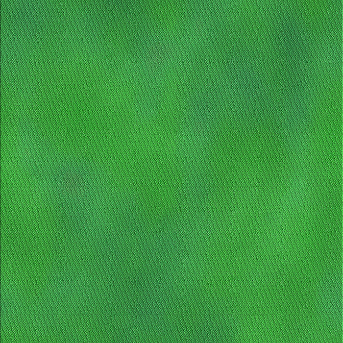 Machine Washable Transitional Green Rug, wshpat3293grn