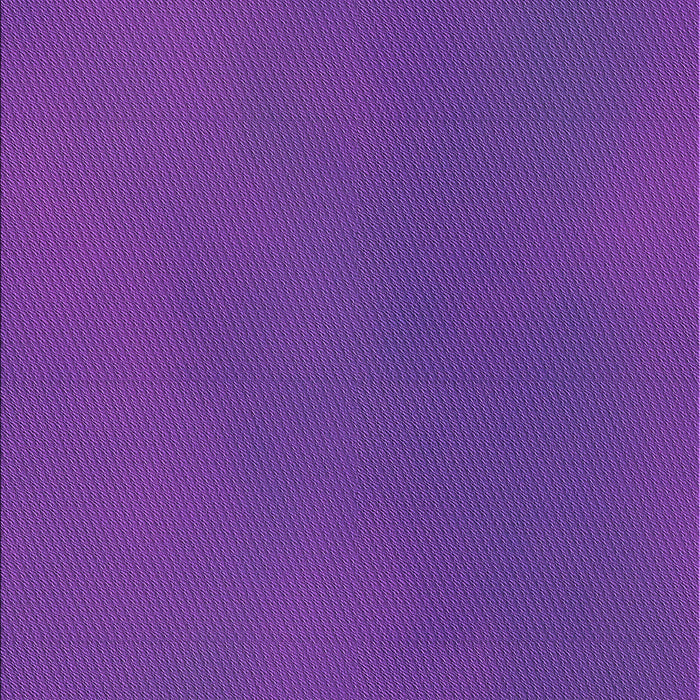 Machine Washable Transitional Amethyst Purple Rug, wshpat3296pur