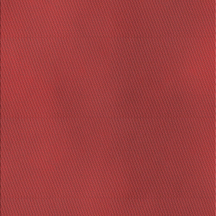 Patterned Red Rug, pat3296rd