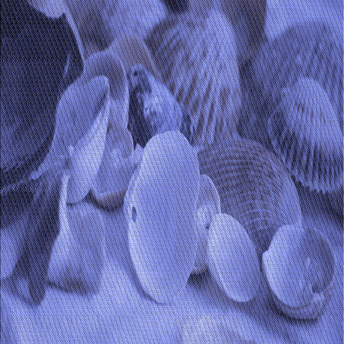 Machine Washable Transitional Sky Blue Rug, wshpat3298blu