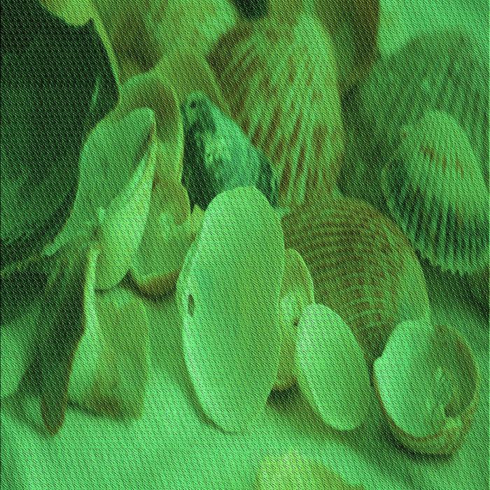 Patterned Green Rug, pat3298grn