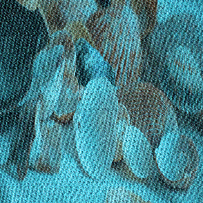 Machine Washable Transitional Bright Turquoise Blue Rug, wshpat3298lblu