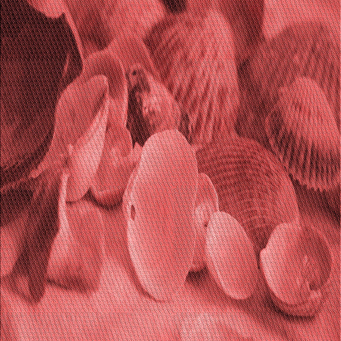 Machine Washable Transitional Red Rug, wshpat3298rd