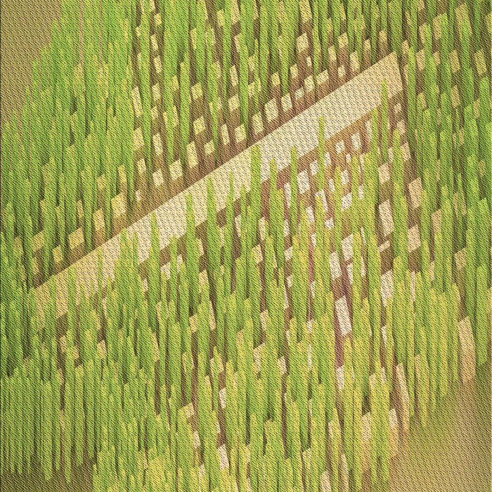 Machine Washable Transitional Dark Yellow Green Rug, wshpat3299brn