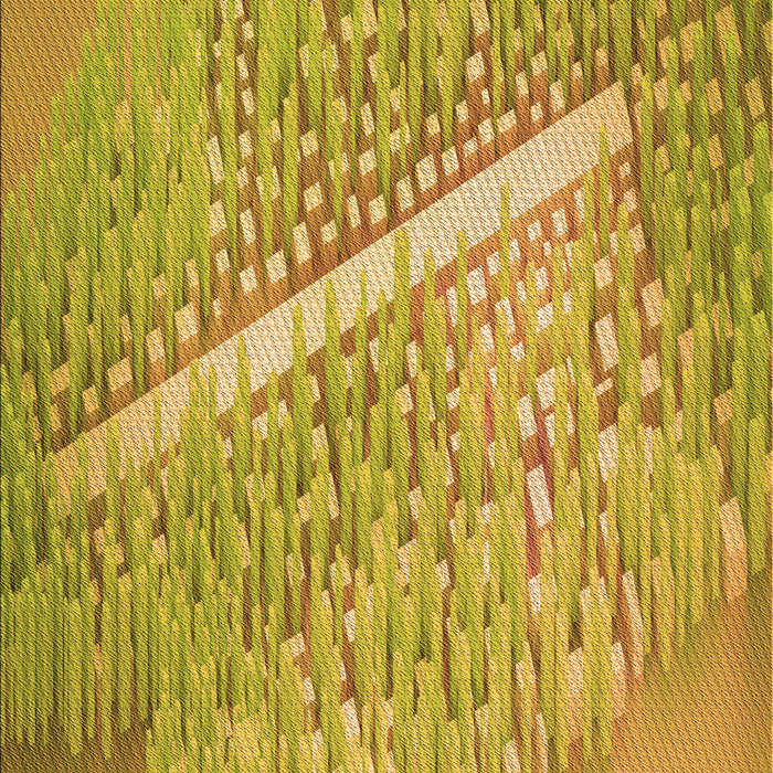 Patterned Golden Brown Yellow Rug, pat3299org