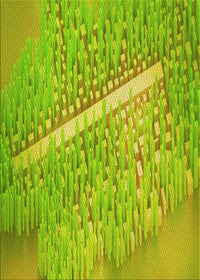 Machine Washable Transitional Dark Yellow Green Rug, wshpat3299yw