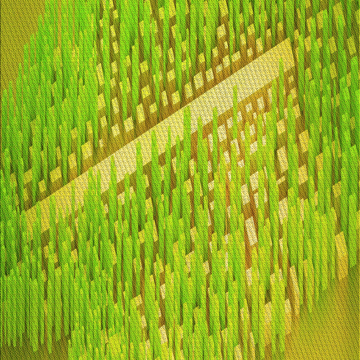 Machine Washable Transitional Dark Yellow Green Rug, wshpat3299yw