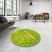 Round Patterned Dark Yellow Green Rug in a Office, pat3299yw