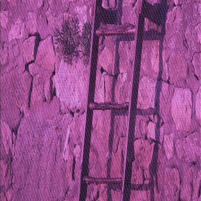 Machine Washable Transitional Dark Magenta Purple Rug, wshpat3301pur
