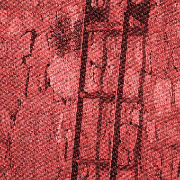 Machine Washable Transitional Red Rug, wshpat3301rd