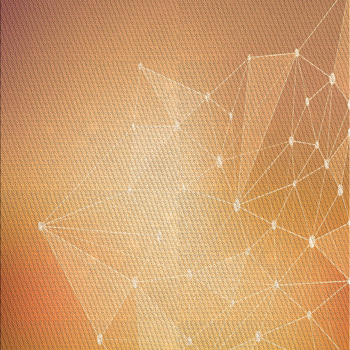 Patterned Orange Rug, pat3304org