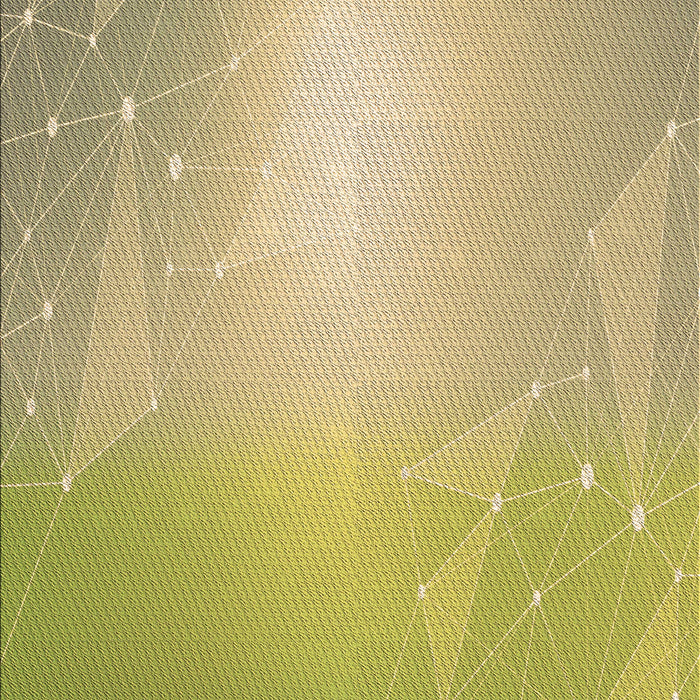 Machine Washable Transitional Dark Golden Brown Rug, wshpat3306brn