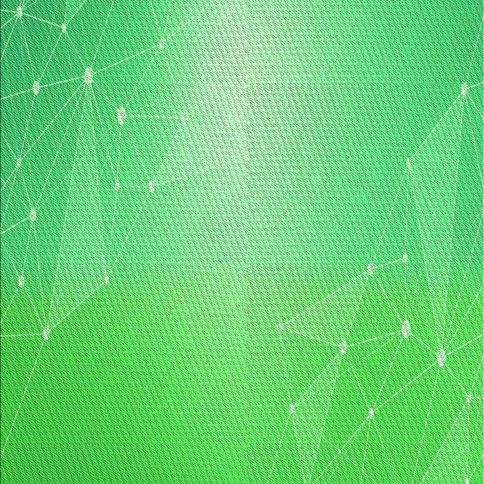 Machine Washable Transitional Neon Green Rug, wshpat3306grn