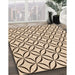 Patterned Sienna Brown Rug in Family Room, pat3308org