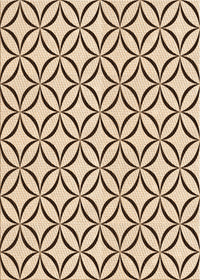 Machine Washable Transitional Sienna Brown Rug, wshpat3308org