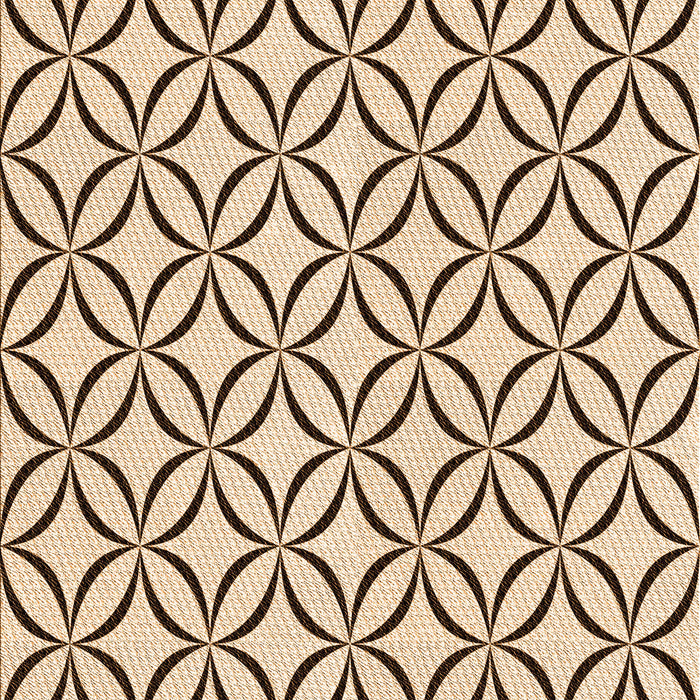 Machine Washable Transitional Sienna Brown Rug, wshpat3308org