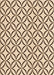 Patterned Sienna Brown Rug, pat3308org