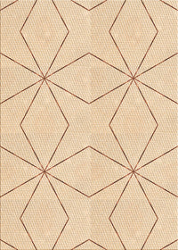 Machine Washable Transitional Brown Sand Brown Rug, wshpat3309org