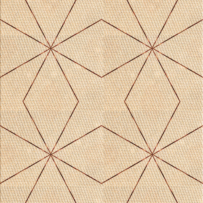 Patterned Brown Sand Brown Rug, pat3309org