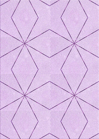 Machine Washable Transitional Violet Purple Rug, wshpat3309pur