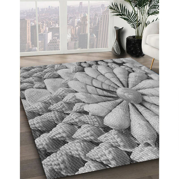 Machine Washable Transitional Carbon Gray Rug in a Family Room, wshpat3313