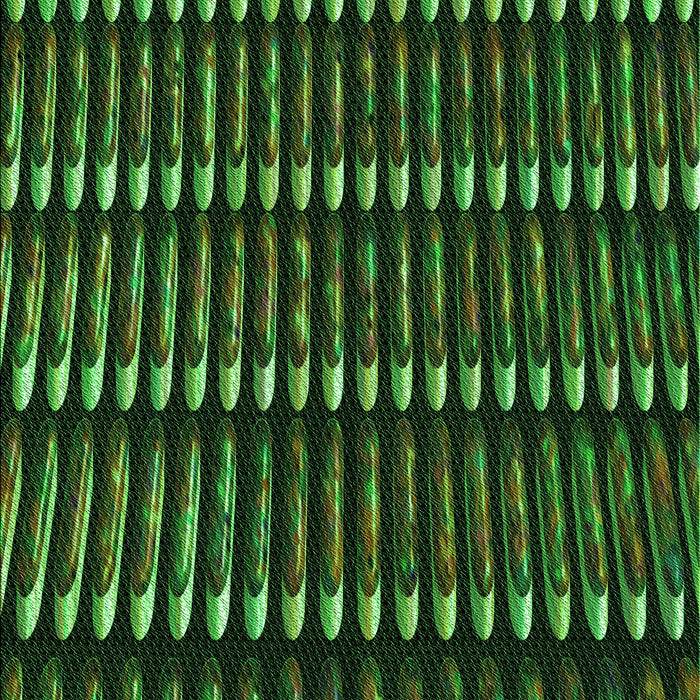 Machine Washable Transitional Dark Lime Green Rug, wshpat332grn