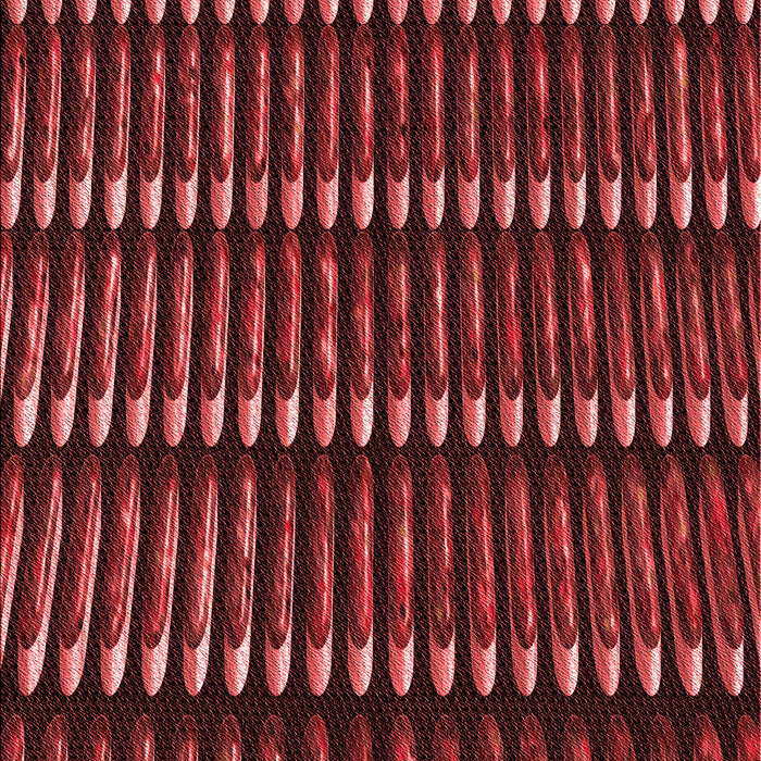 Machine Washable Transitional Red Rug, wshpat332rd