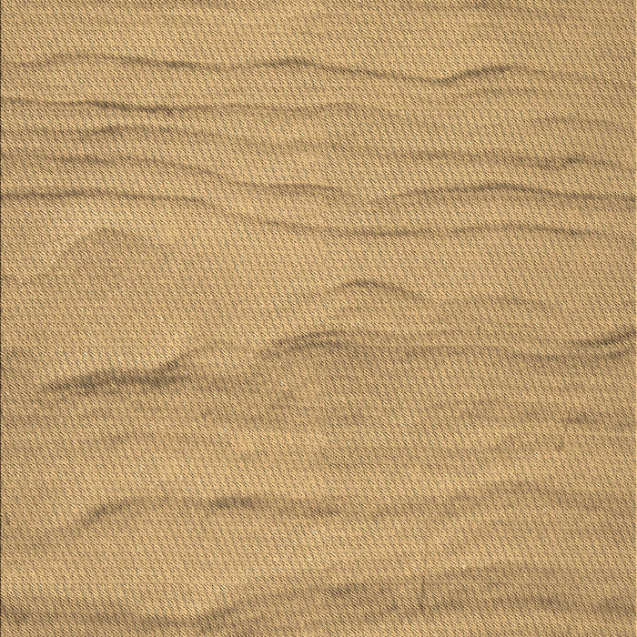 Patterned Orange Rug, pat3322brn