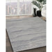 Patterned Silver Gray Novelty Rug in Family Room, pat3322