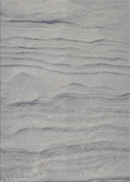 Patterned Silver Gray Novelty Rug, pat3322