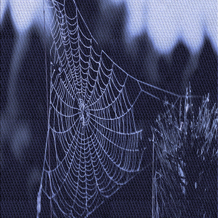 Machine Washable Transitional Periwinkle Purple Rug, wshpat3330blu