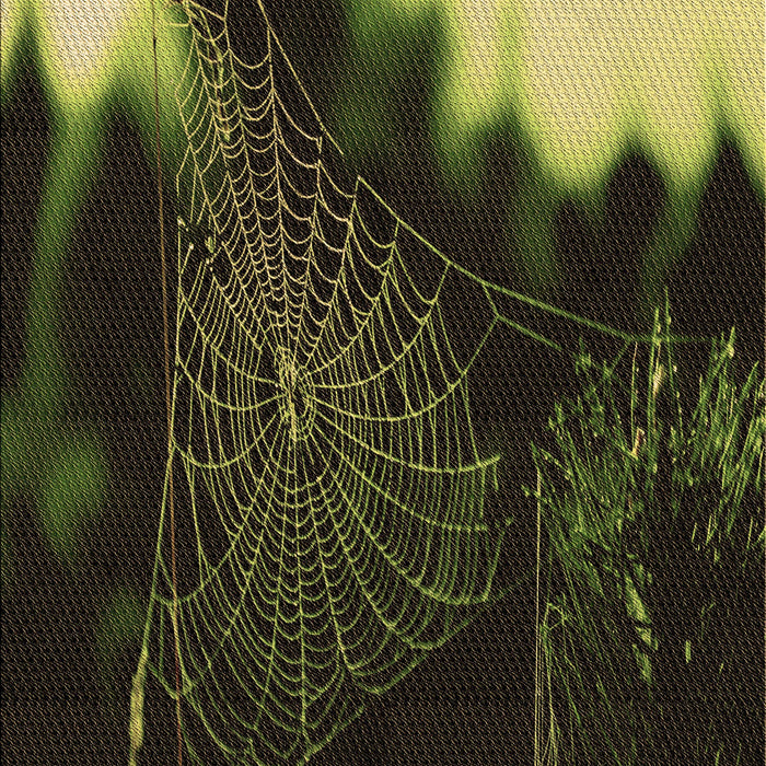 Machine Washable Transitional Midnight Gray Rug, wshpat3330brn