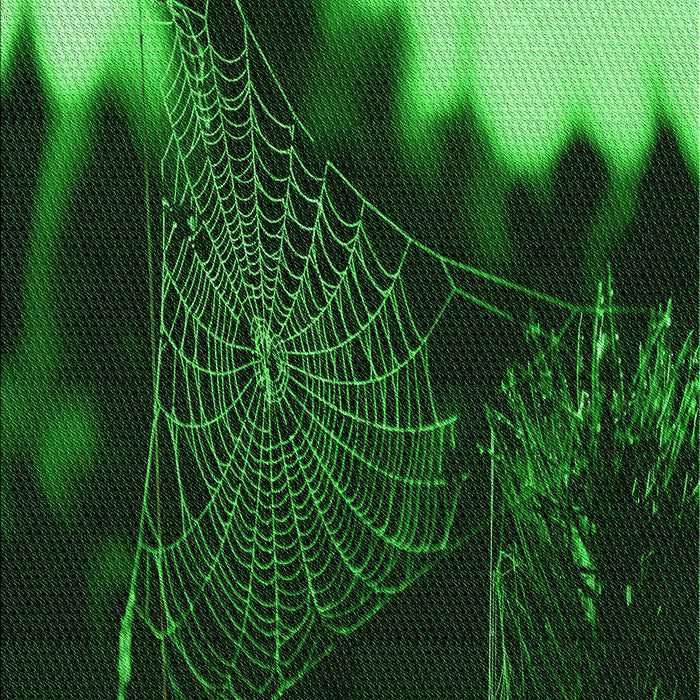 Patterned Black Rug, pat3330grn