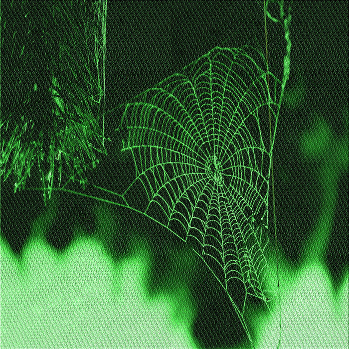 Round Patterned Black Rug, pat3330grn