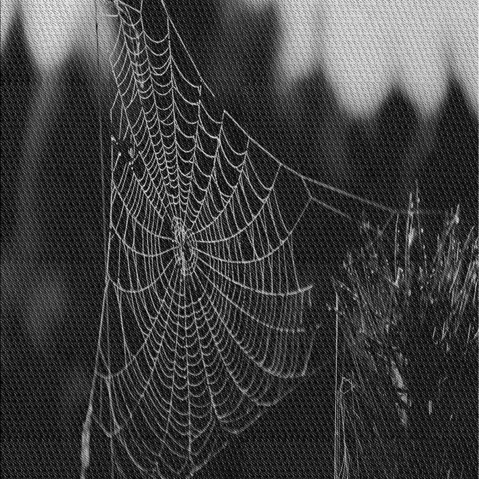 Machine Washable Transitional Gray Rug, wshpat3330gry