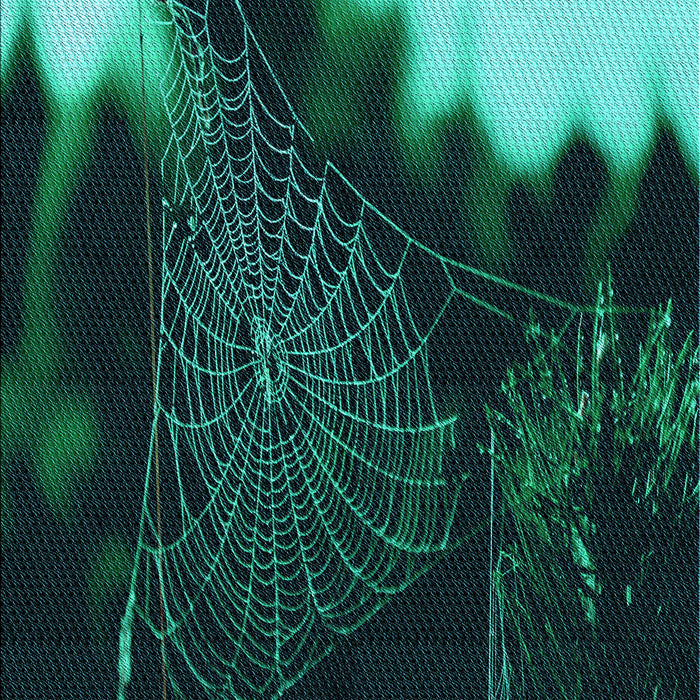 Machine Washable Transitional Deep Teal Green Rug, wshpat3330lblu