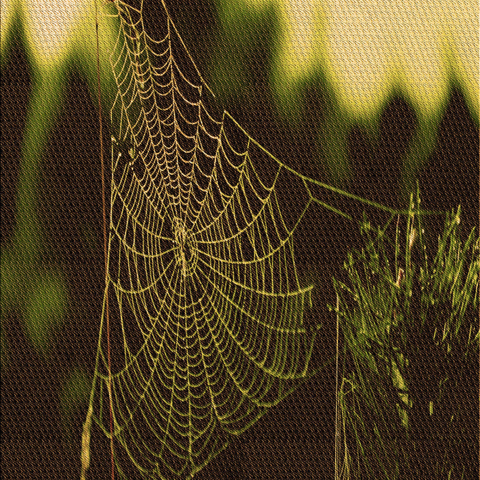 Patterned Black Brown Rug, pat3330org