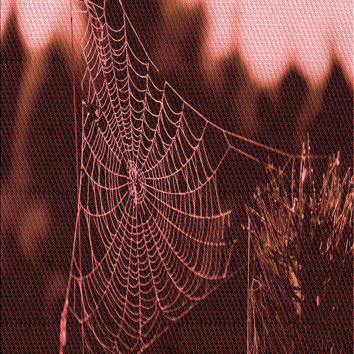 Patterned Chocolate Brown Rug, pat3330rd