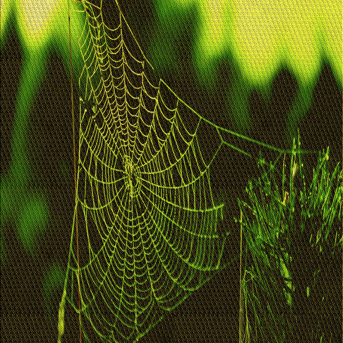 Patterned Midnight Gray Rug, pat3330yw