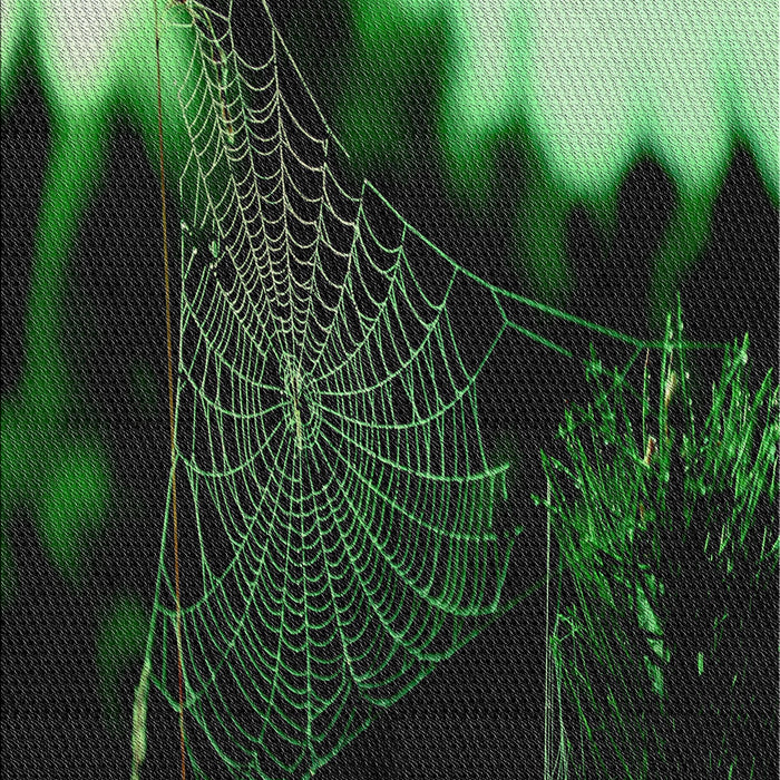 Patterned Forest Green Novelty Rug, pat3330