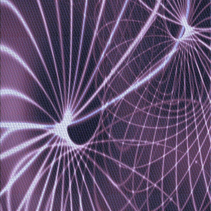 Patterned Dark Purple Rug, pat3334blu