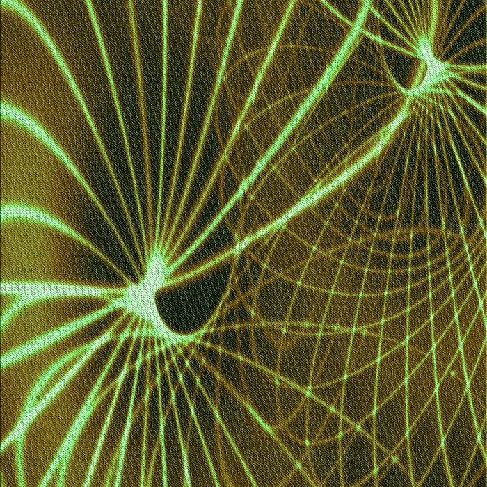 Patterned Bakers Brown Rug, pat3334grn