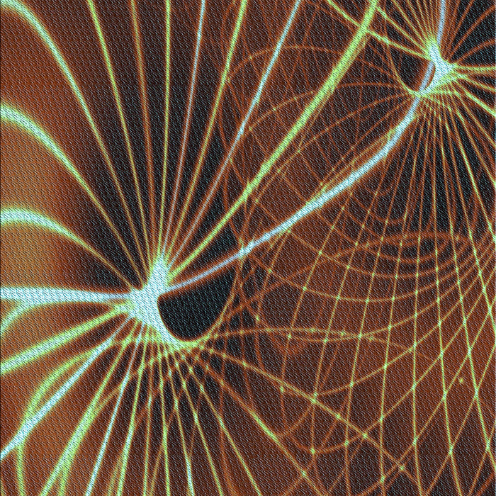 Patterned Brown Rug, pat3334lblu