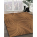 Machine Washable Transitional Saddle Brown Rug in a Family Room, wshpat3337org