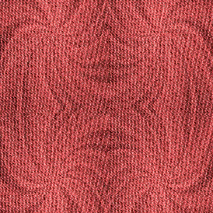 Machine Washable Transitional Red Rug, wshpat3337rd