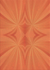 Machine Washable Transitional Neon Orange Rug, wshpat3338org