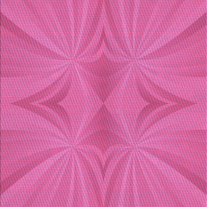 Machine Washable Transitional Deep Pink Rug, wshpat3338pur