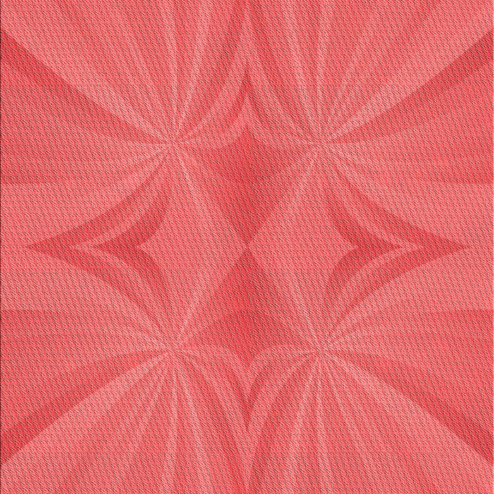 Machine Washable Transitional Red Rug, wshpat3338rd