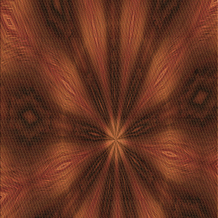 Machine Washable Transitional Mahogany Brown Rug, wshpat335org