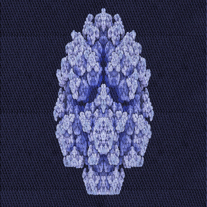 Patterned Black Rug, pat3359blu